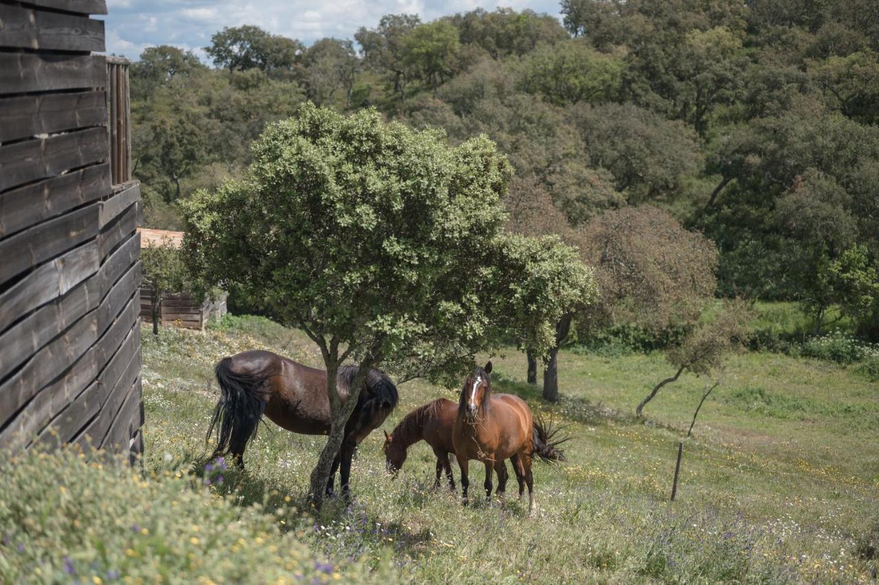 Monte Gois Country House E Spa Curvatos エクステリア 写真