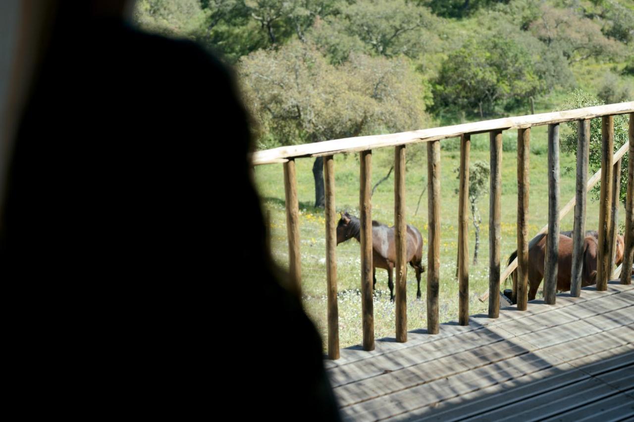 Monte Gois Country House E Spa Curvatos エクステリア 写真