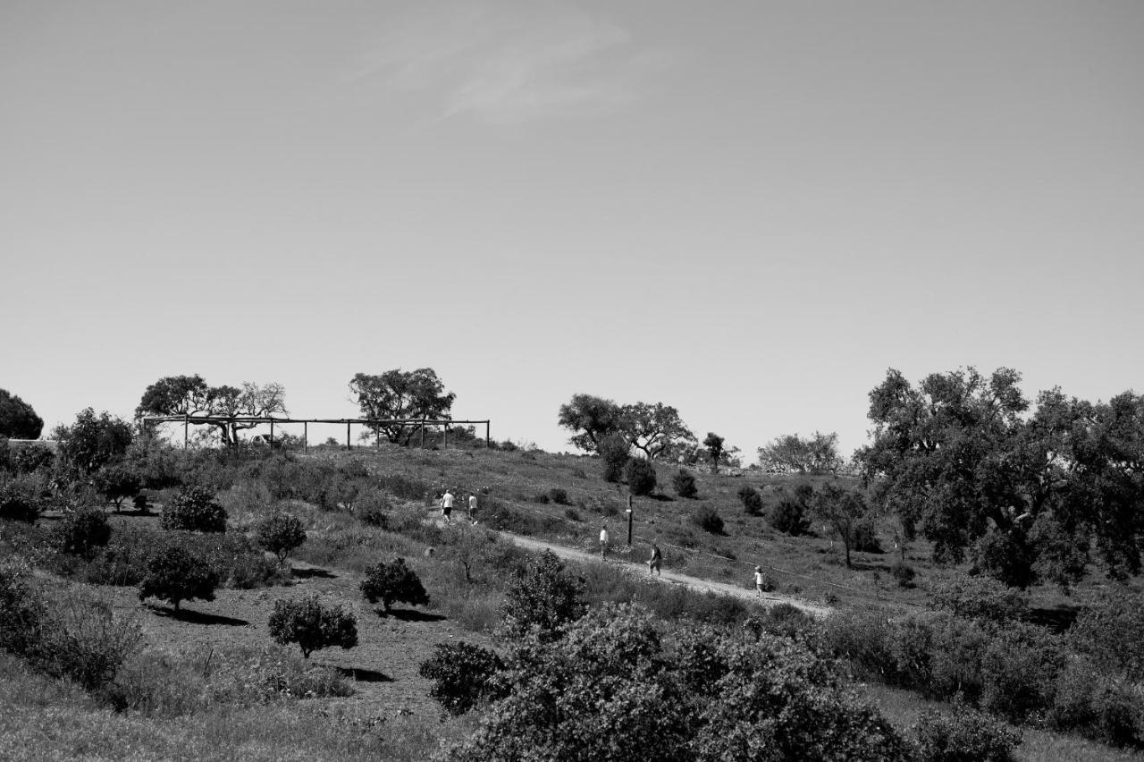 Monte Gois Country House E Spa Curvatos エクステリア 写真